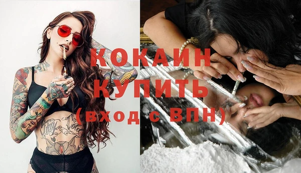 каннабис Богданович