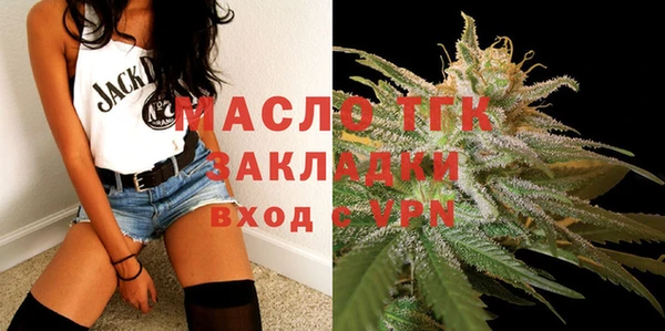 тгк Богородицк
