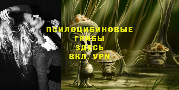 каннабис Богданович